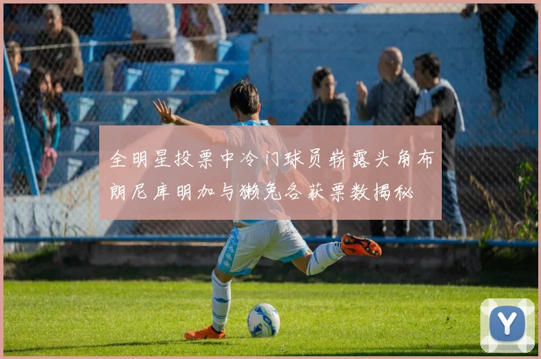 全明星投票中冷门球员崭露头角布朗尼库明加与獭兔各获票数揭秘