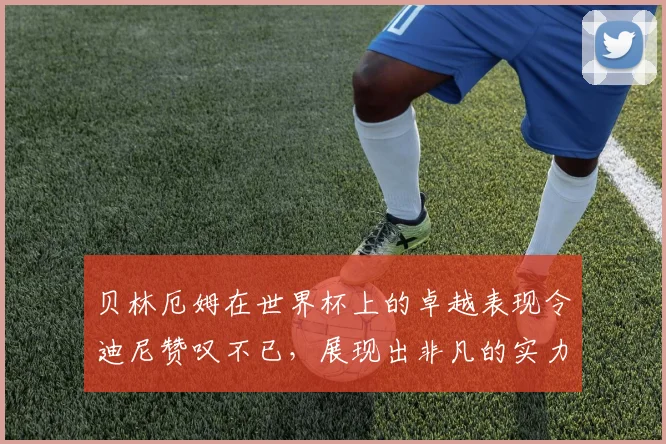 贝林厄姆在世界杯上的卓越表现令迪尼赞叹不已，展现出非凡的实力与魅力